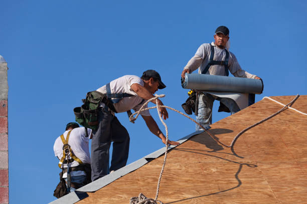 Best Roofing Contractor Near Me  in Sterling City, TX